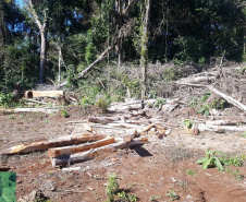 Fiscais do Instituto Água e Terra (IAT) identificaram mais de 100 hectares (ha) de desmatamento na região Centro-Sul do Estado, na última semana. O IAT é um órgão vinculado à Secretaria do Desenvolvimento Sustentável e do Turismo (Sedest). -  Curitiba, 05/07/2021  -  Foto: SEDEST/IAT