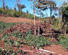 Fiscais do Instituto Água e Terra (IAT) identificaram mais de 100 hectares (ha) de desmatamento na região Centro-Sul do Estado, na última semana. O IAT é um órgão vinculado à Secretaria do Desenvolvimento Sustentável e do Turismo (Sedest). -  Curitiba, 05/07/2021  -  Foto: SEDEST/IAT