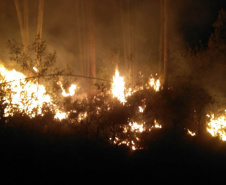 Nos primeiros quatro meses de 2021, o Corpo de Bombeiros do Paraná registrou 2.760 casos de incêndios em vegetação nativa ou plantação, 1.181 a menos que no primeiro quadrimestre de 2020, representando uma queda de 30%.  -  Curitiba, 05/07/2021  -  Foto: SESP-PR