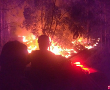Nos primeiros quatro meses de 2021, o Corpo de Bombeiros do Paraná registrou 2.760 casos de incêndios em vegetação nativa ou plantação, 1.181 a menos que no primeiro quadrimestre de 2020, representando uma queda de 30%.  -  Curitiba, 05/07/2021  -  Foto: SESP-PR