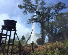 Nos primeiros quatro meses de 2021, o Corpo de Bombeiros do Paraná registrou 2.760 casos de incêndios em vegetação nativa ou plantação, 1.181 a menos que no primeiro quadrimestre de 2020, representando uma queda de 30%.  -  Curitiba, 05/07/2021  -  Foto: SESP-PR