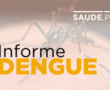 Paraná registra três novos óbitos provocados pela dengue