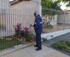 Sanepar intensifica pesquisa de vazamentos em 30 sistemas da região de Paranavaí  -  Foto: Sanepar