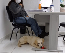 Cão da PM é aplicado para estimular interação de pacientes atendidos pelo PRUMOS em Londrina  -  Curitiba, 09/07/2021  -  Foto: PMPR