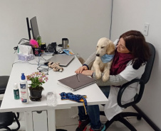 Cão da PM é aplicado para estimular interação de pacientes atendidos pelo PRUMOS em Londrina  -  Curitiba, 09/07/2021  -  Foto: PMPR