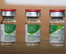 O Paraná irá ampliar a vacinação contra a gripe em todo o Estado, até esgotarem as doses disponíveis. A imunização está aberta para população em geral acima de seis meses de idade. -  Curitiba, 09/07/2021  -  Foto: Américo Antonio/SESA