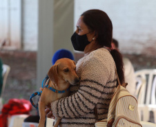 O Programa Permanente de Esterilização de Cães e Gatos (CastraPet), iniciativa da Secretaria estadual do Desenvolvimento Sustentável e do Turismo (Sedest), estará em Formosa do Oeste nesta semana com a castração de 115 cães e gatos no município. A ação ocorre segunda-feira (12) e terça-feira (13).  -  Foto: Alessandro Vieira/Arquivo AEN