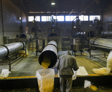 PIPOTECA -  A Pipoteca conta hoje com 70 colaboradores e produz em torno de sete toneladas por dia, entre salgadinhos e pipoca doce, aquela da embalagem rosa. Paraná e Santa Catarina são os principais mercados da empresa.  -  Curitiba, 25/05/2021  - Foto: Gilson Abreu/AEN