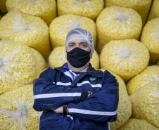 PIPOTECA -  A Pipoteca conta hoje com 70 colaboradores e produz em torno de sete toneladas por dia, entre salgadinhos e pipoca doce, aquela da embalagem rosa. Paraná e Santa Catarina são os principais mercados da empresa.  -  Curitiba, 25/05/2021  - Foto: Gilson Abreu/AEN