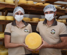 Queijo artesanal de Salgado Filho é o primeiro produto paranaense a receber o Selo Arte
Foto:  Júlio César Nesi