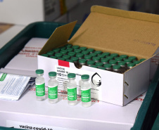 Mais 141 mil doses de vacinas contra a Covid-19 chegam ao Paraná nesta segunda-feira
Foto: Americo Antonio/SESA