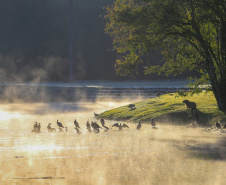 Paraná inicia semana com queda brusca nas temperaturas; 15 municípios tiveram recorde de baixas 
Foto: Valdelino Pontes/AEN