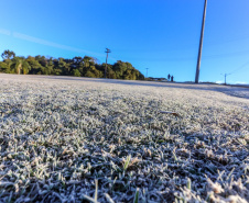Paraná tem 16 cidades com temperaturas negativas; General Carneiro registrou -7,8ºC  Foto: Valdelino Pontes/AEN