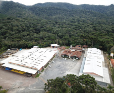 Bebidas paranaenses ganham destaque no mercado nacional. Foto: Jose Fernando Ogura/AEN