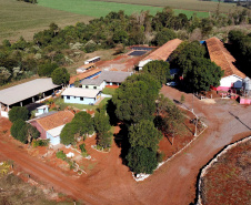 Puxado por Toledo, Paraná avança e mira novos mercados internacionais na carne suína
Foto: Ari Dias/AEN