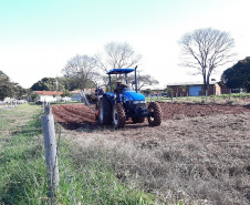 Pesquisadores recomendam plantio direto de mandioca em sistemas integrados de produção       Foto IDR