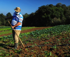 Secretaria da Agricultura publica resulta da análise documental do Coopera Paraná
Foto: Jose Fernando Ogura/AEN