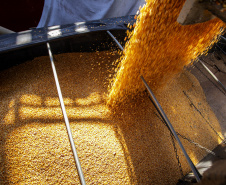 Navio programado para quarta-feira (28) vai descarregar 32 mil toneladas do cereal. Desde o início do ano, já são quatro embarcações recebidas no porto paranaense com milho importado. - Paranaguá, 27/07/2021  -  Foto: Claudio Neves/Arquivo Portos do Paraná-primeira operação, em Maio/21