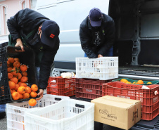 O Governo do Estado realizou na manhã desta quarta-feira (28) a primeira entrega de alimentos do Programa Compra Direta Paraná em Curitiba em 2021. O lançamento simbólico aconteceu no Asilo São Vicente de Paulo, no bairro Juvevê, com produtos da Cooperativa de Agricultores Orgânicos e de Produção Agroecológica (Coaopa). A cerimônia contou com a presença do secretário estadual da Agricultura e do Abastecimento, Norberto Ortigara.   -  Curitiba, 28/07/2021  -  Foto: José Fernando Ogura/AEN