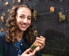 Aos 17 anos, a estudante Rafaela Furlanetto Liberali desenvolve, no clube de ciências do Colégio Estadual Jardim Porto Alegre, em Toledo, uma pesquisa que objetiva reduzir o tempo de germinação de orquídeas, processo que demora entre 3 e 10 anos, dependendo da espécie