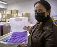 Paraná receberá 180.180 vacinas da Pfizer neste sábado, parte do novo lote da semana
Foto Gilson Abreu/AEN