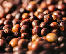 O concurso Café Qualidade Paraná abriu as inscrições para a edição 2021 com uma novidade ? agora os cafeicultores podem concorrer também na categoria fermentação induzida, que vem se somar às já existentes cereja descascado e natural.  -  Curitiba, 29/07/2021 -  Foto: IDR-PARANÁ