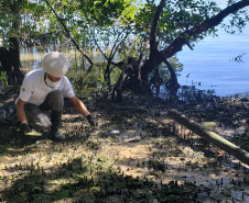 Nesta sexta-feira (30), 115 quilos de lixo foram recolhidos do manguezal, na Ilha do Teixeira, em Paranaguá. A ação integra o Programa de Monitoramento de Manguezais da Portos do Paraná. Foto: Pierpaolo Nota/ Portos do Paraná