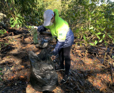 Nesta sexta-feira (30), 115 quilos de lixo foram recolhidos do manguezal, na Ilha do Teixeira, em Paranaguá. A ação integra o Programa de Monitoramento de Manguezais da Portos do Paraná. Foto: Pierpaolo Nota/ Portos do Paraná
