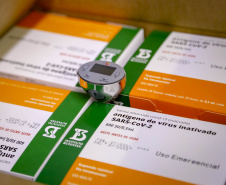 Um total de 329.380 doses de vacinas contra a Covid-19 já estão no Centro de Medicamentos do Paraná (Cemepar), em Curitiba. O lote, que desta vez foi encaminhado pelo Ministério da Saúde via terrestre, chegou na tarde deste sábado (31), às 16 horas.Foto Gilson Abreu/AEN