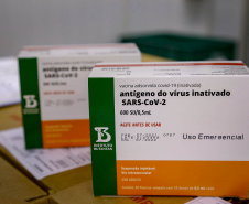 Um total de 329.380 doses de vacinas contra a Covid-19 já estão no Centro de Medicamentos do Paraná (Cemepar), em Curitiba. O lote, que desta vez foi encaminhado pelo Ministério da Saúde via terrestre, chegou na tarde deste sábado (31), às 16 horas.
Foto Gilson Abreu/AEN