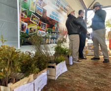 Cascavel fará o plantio de 1 milhão de mudas nativas. Foto: SEDEST