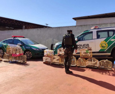 Mais de 100 aves nativas são apreendidas e R$ 92 mil em multas lavradas pela PM durante a Operação Liberdade no Noroeste do estado
. Foto: PMPR