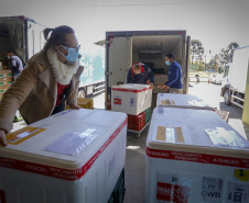  Distribuição de vacinas para Regionais.
Foto Gilson Abreu/AEN