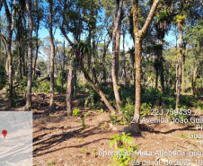 Força-tarefa no litoral identifica mais de 100 hectares de desmatamento ilegal  -  curitiba, 03/08/2021  -  Foto: IAT