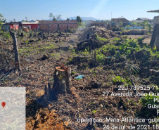 Força-tarefa no litoral identifica mais de 100 hectares de desmatamento ilegal  -  curitiba, 03/08/2021  -  Foto: IAT