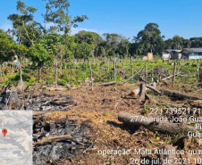 Força-tarefa no litoral identifica mais de 100 hectares de desmatamento ilegal  -  curitiba, 03/08/2021  -  Foto: IAT