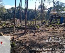 Força-tarefa no litoral identifica mais de 100 hectares de desmatamento ilegal  -  curitiba, 03/08/2021  -  Foto: IAT
