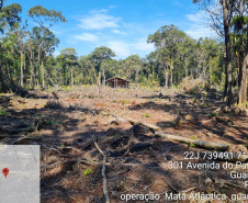 Força-tarefa no litoral identifica mais de 100 hectares de desmatamento ilegal  -  curitiba, 03/08/2021  -  Foto: IAT