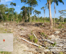 Força-tarefa no litoral identifica mais de 100 hectares de desmatamento ilegal  -  curitiba, 03/08/2021  -  Foto: IAT