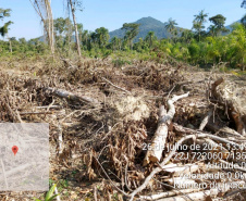 Força-tarefa no litoral identifica mais de 100 hectares de desmatamento ilegal  -  curitiba, 03/08/2021  -  Foto: IAT