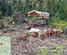 Força-tarefa no litoral identifica mais de 100 hectares de desmatamento ilegal  -  curitiba, 03/08/2021  -  Foto: IAT