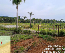 Força-tarefa no litoral identifica mais de 100 hectares de desmatamento ilegal  -  curitiba, 03/08/2021  -  Foto: IAT
