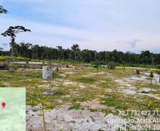 Força-tarefa no litoral identifica mais de 100 hectares de desmatamento ilegal  -  curitiba, 03/08/2021  -  Foto: IAT