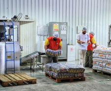 Instalada no município de Campo Largo, na Região Metropolitana de Curitiba, está a cinquentenária Caldo Bom. Foto: José fernando Ogura/AEN