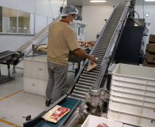 A Jandira é uma empresa familiar com 60 anos de história. Gabriel Augustho Beraldi, diretor administrativo da companhia, conta que o avô começou a empresa vendendo canela, pimenta e temperos. Foto: Ari Dias/AEN