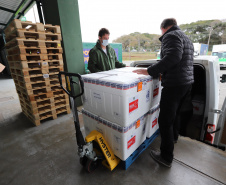 Novo lote de 57.600 da CoronaVac  chegam  no Centro de Medicamentos do Paraná (Cemepar), em Curitiba, na manha desta quarta-feira (4).  Foto: Geraldo Bubniak/AEN