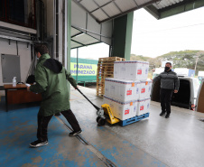 Novo lote de 57.600 da CoronaVac  chegam  no Centro de Medicamentos do Paraná (Cemepar), em Curitiba, na manha desta quarta-feira (4).  Foto: Geraldo Bubniak/AEN
