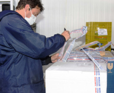 Paraná recebe novas doses e começa a distribui 158,6 mil vacinas contra a Covid-19; veja divisão. Foto: Américo Antonio/SESA