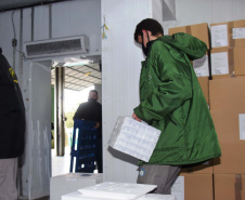 Paraná recebe novas doses e começa a distribui 158,6 mil vacinas contra a Covid-19; veja divisão. Foto: Américo Antonio/SESA