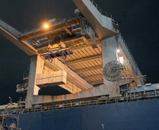 Madeira volta a ser embarcada direto no porão do navio no Porto de Paranaguá . Foto: Divulgação/TCP